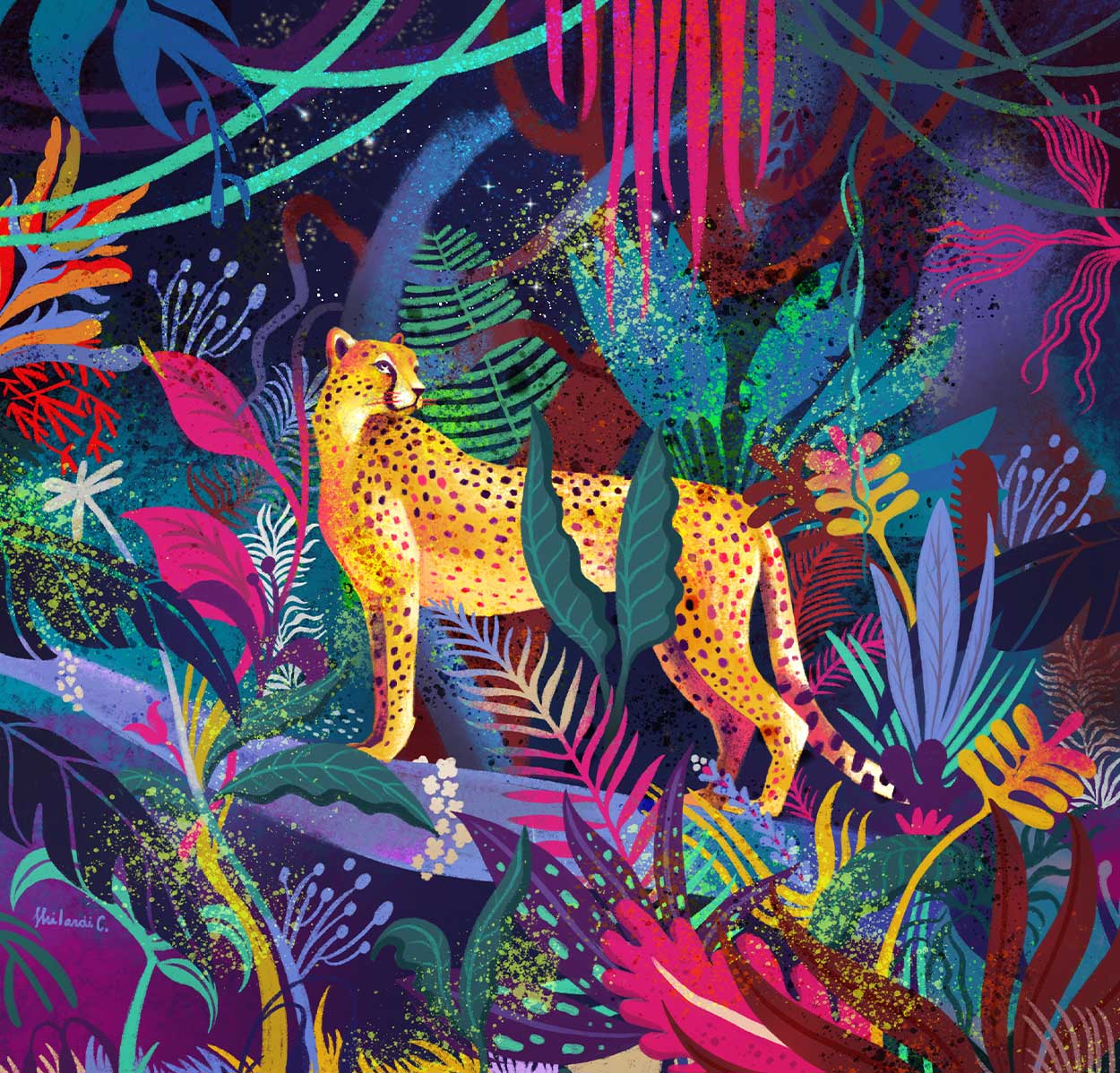 Corso di Illustrazione Roma, Napoli e Bari Pencil ART